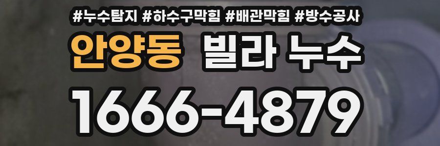 안양동 빌라 누수