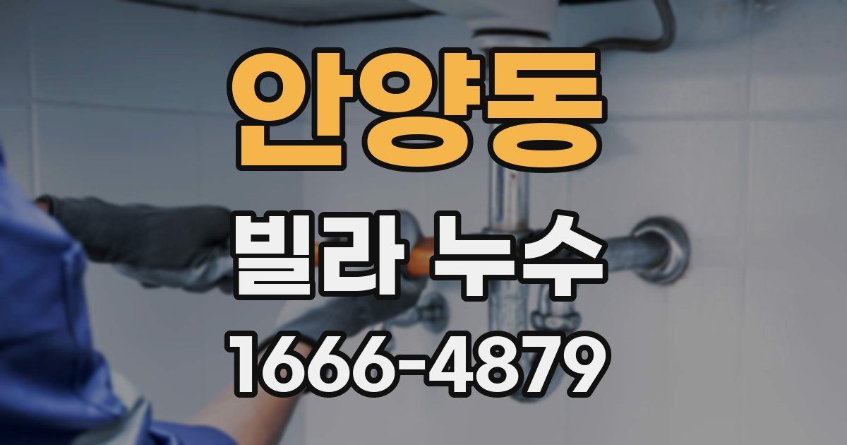안양동 빌라 누수