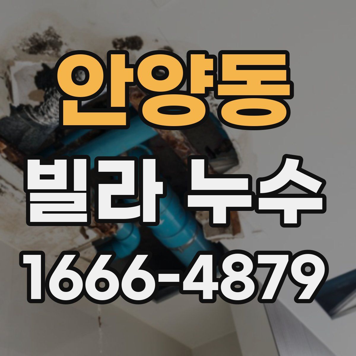 안양동 빌라 누수