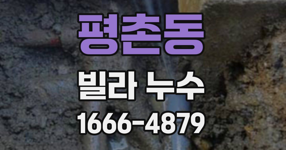 평촌동 빌라 누수