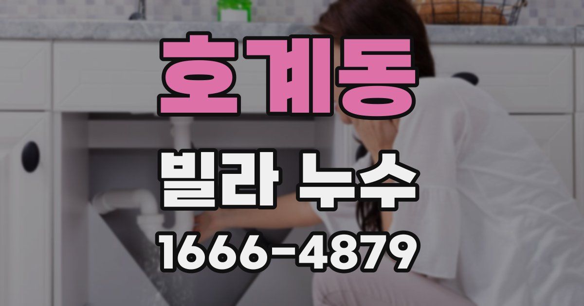 호계동 빌라 누수