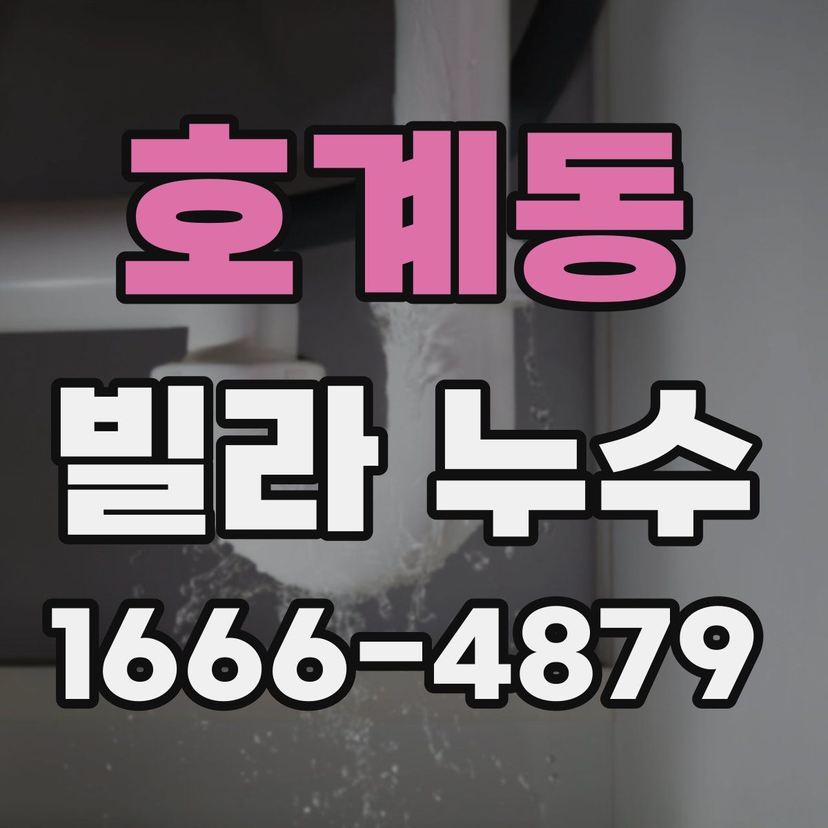 호계동 빌라 누수