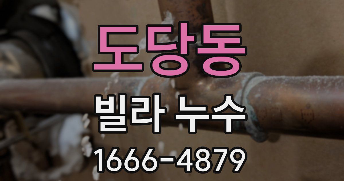 도당동 빌라 누수