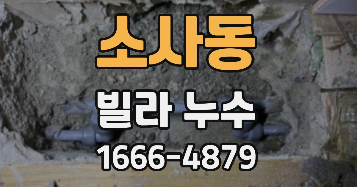 소사동 빌라 누수