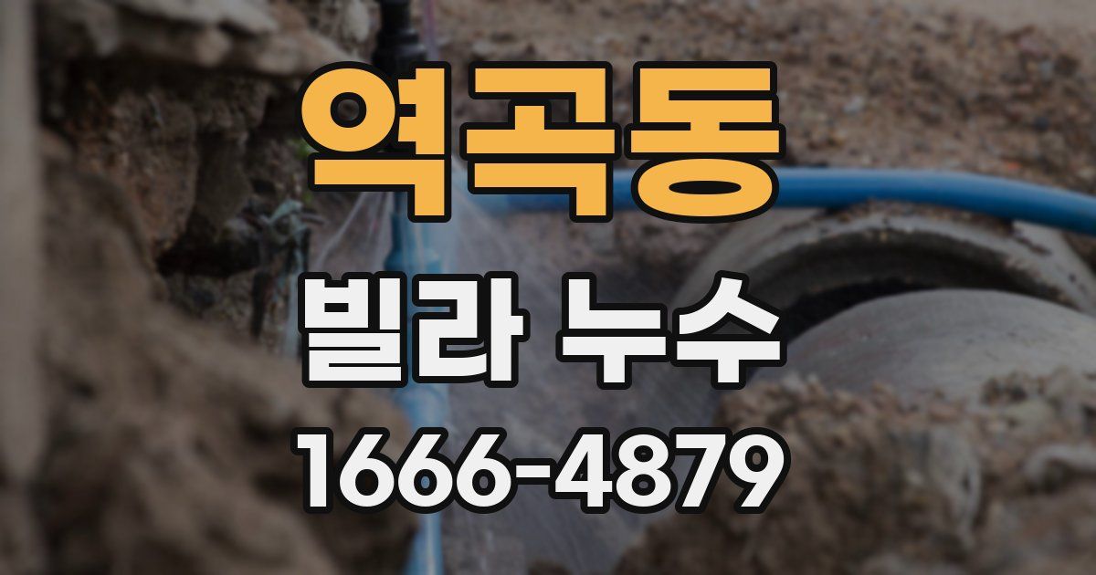 역곡동 빌라 누수