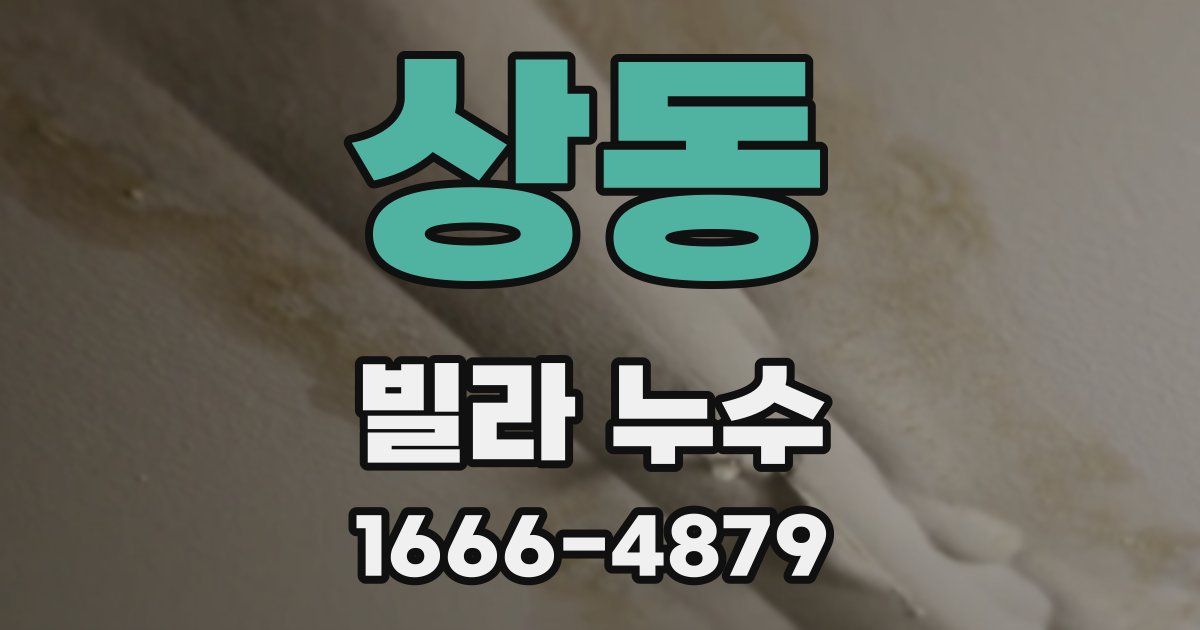 상동 빌라 누수