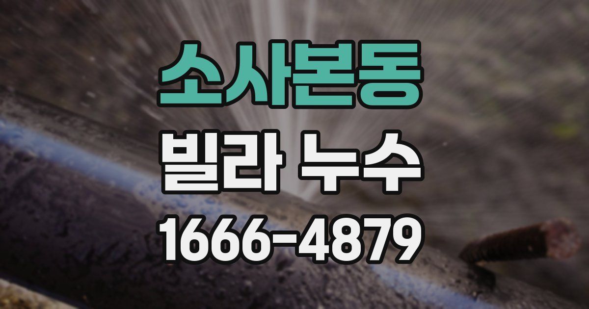 소사본동 빌라 누수