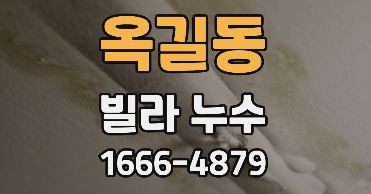 옥길동 빌라 누수