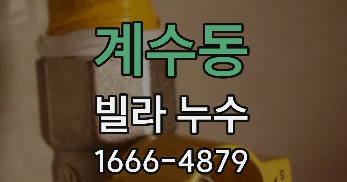 계수동 빌라 누수