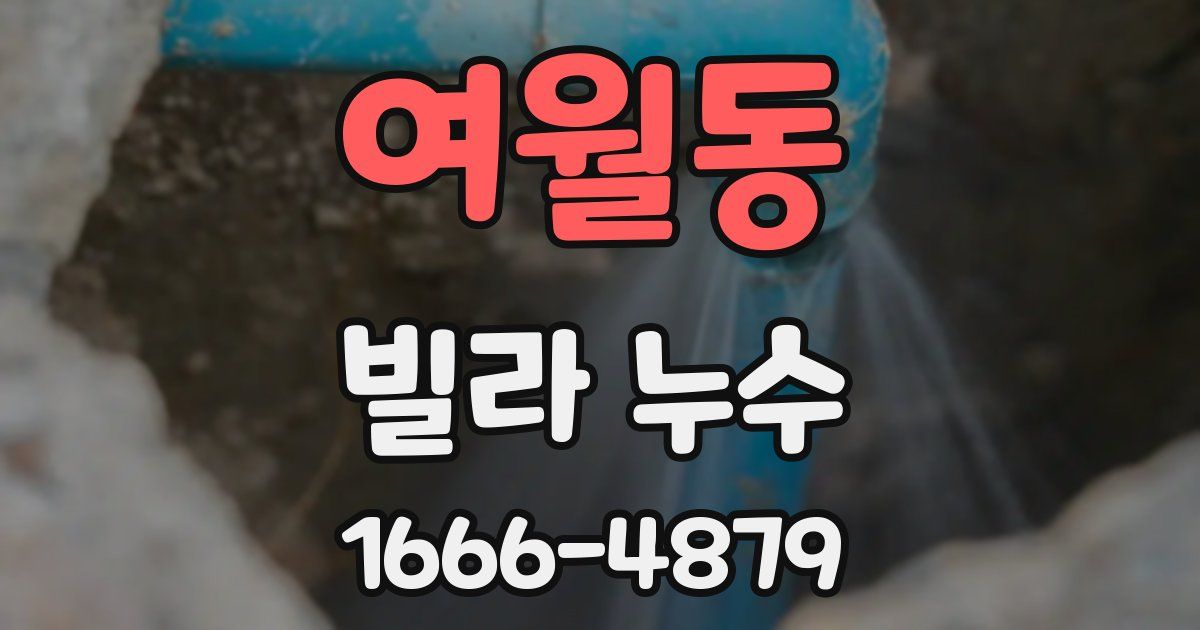 여월동 빌라 누수