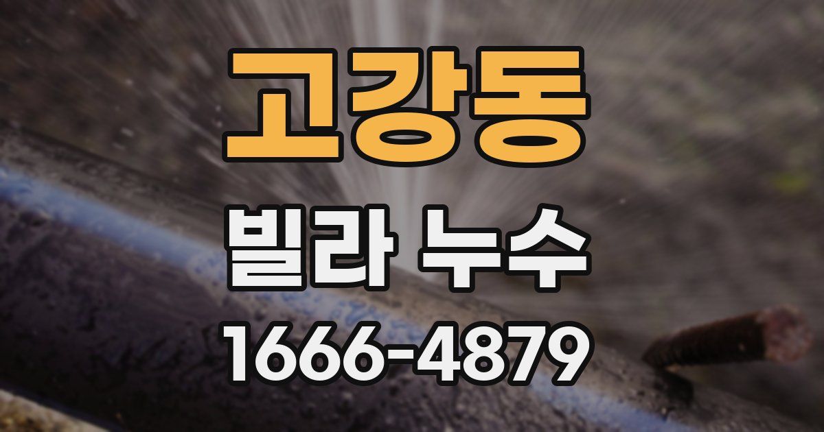 고강동 빌라 누수