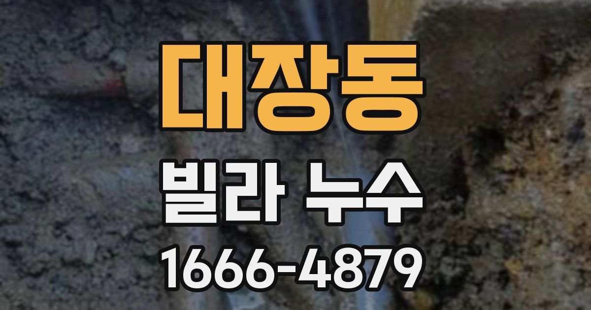 대장동 빌라 누수