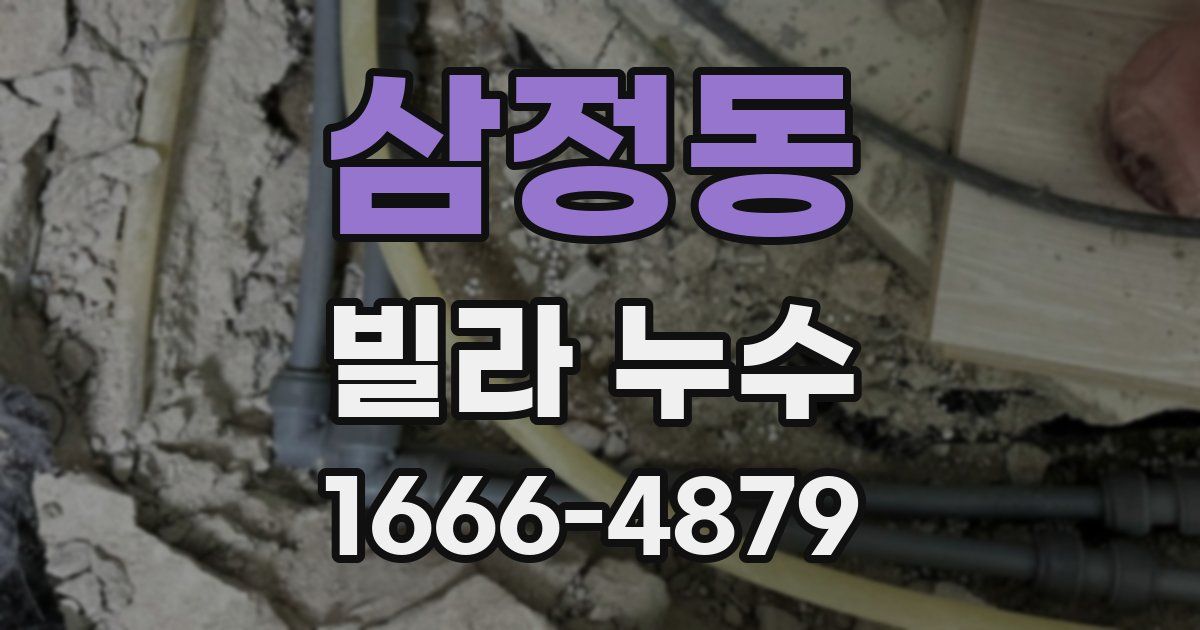삼정동 빌라 누수