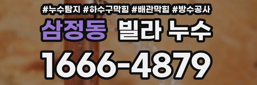 삼정동 빌라 누수