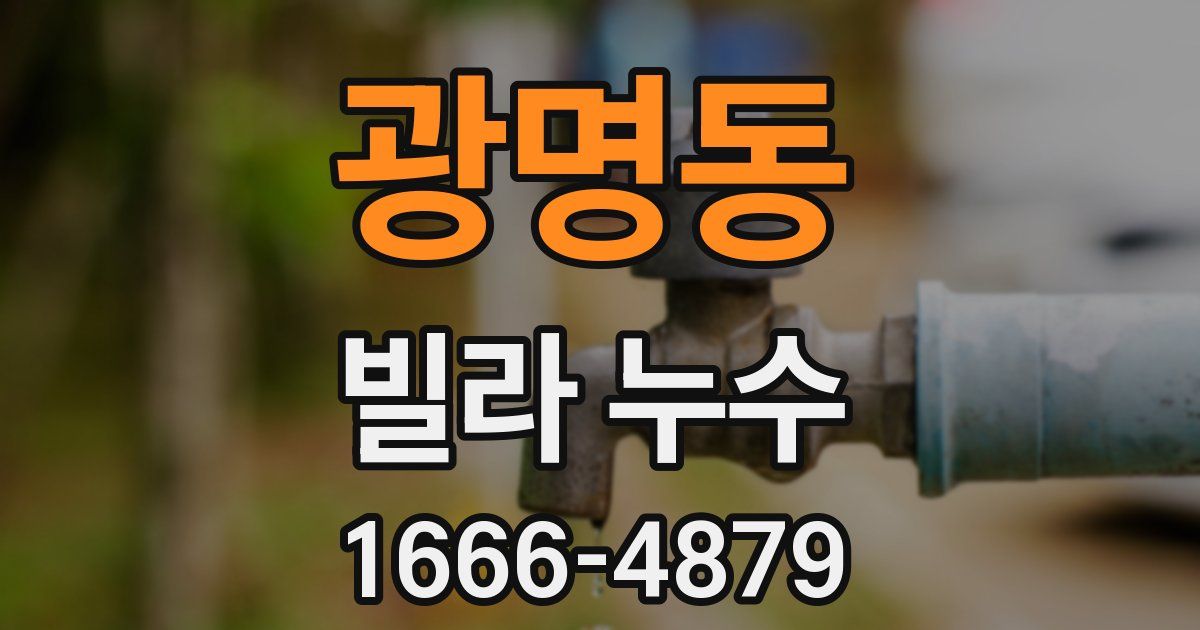 광명동 빌라 누수