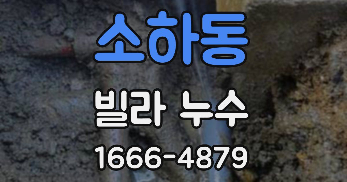 소하동 빌라 누수
