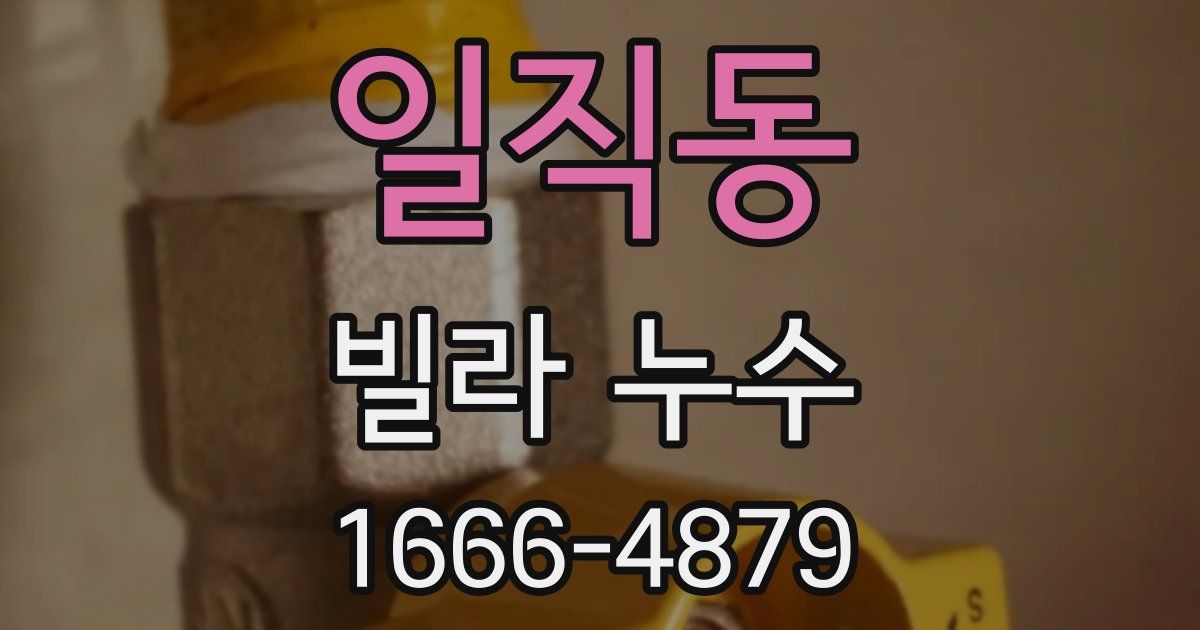 일직동 빌라 누수
