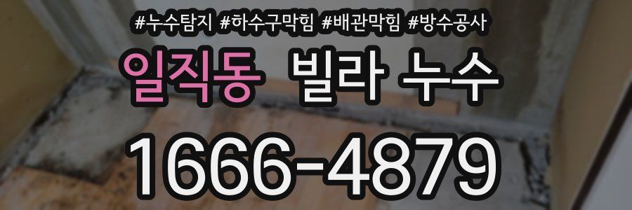 일직동 빌라 누수
