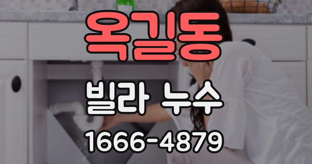 옥길동 빌라 누수