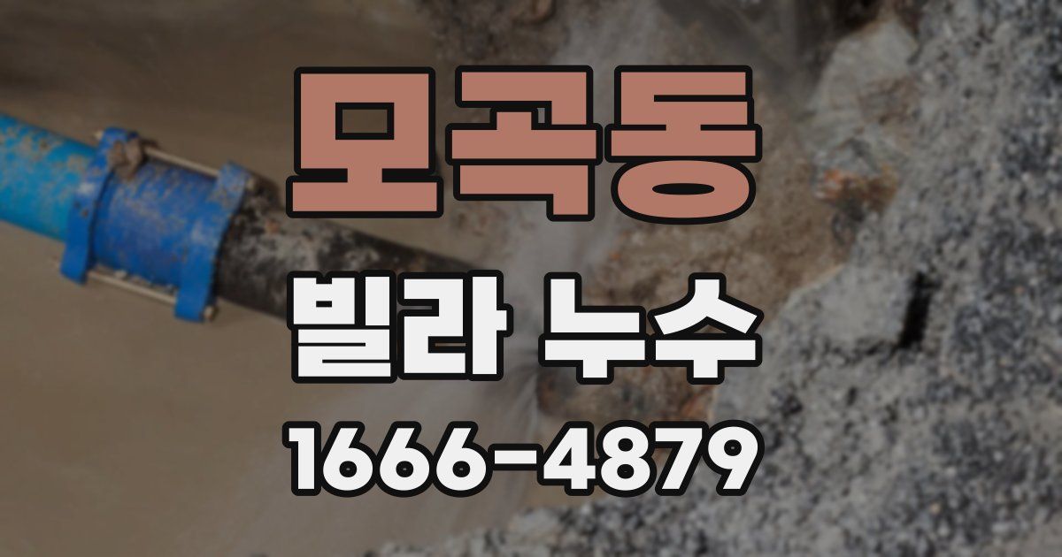 모곡동 빌라 누수