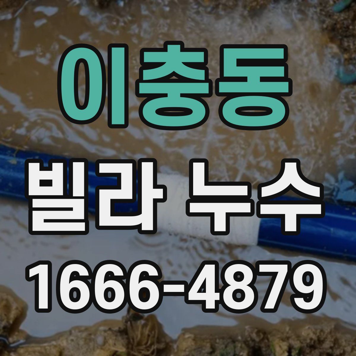 이충동 빌라 누수