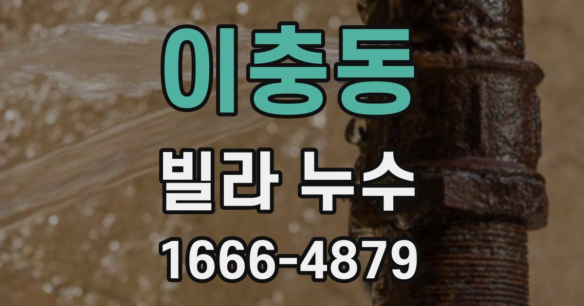 이충동 빌라 누수
