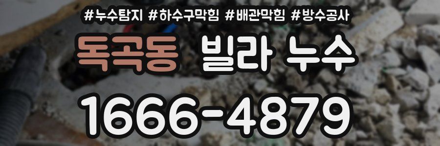 독곡동 빌라 누수