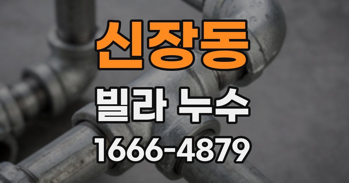 신장동 빌라 누수