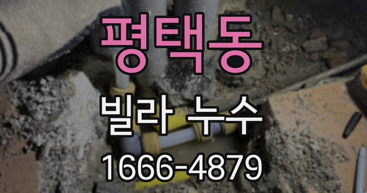 평택동 빌라 누수