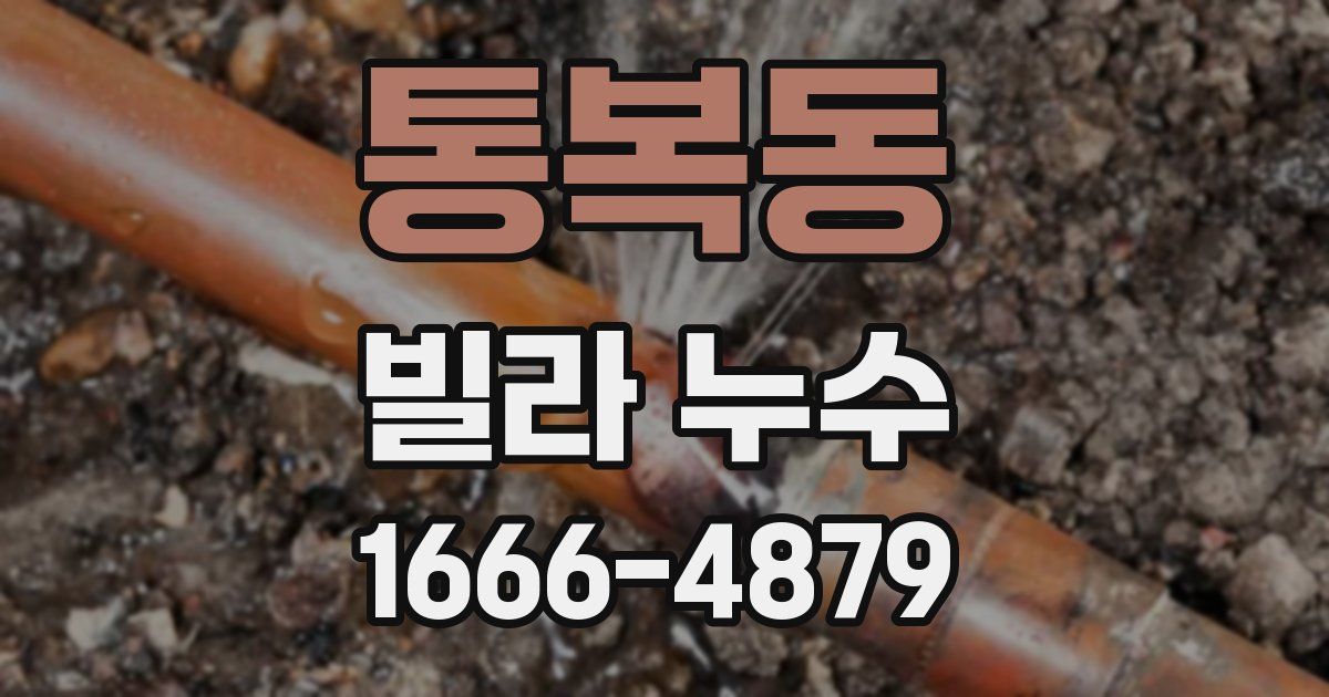 통복동 빌라 누수