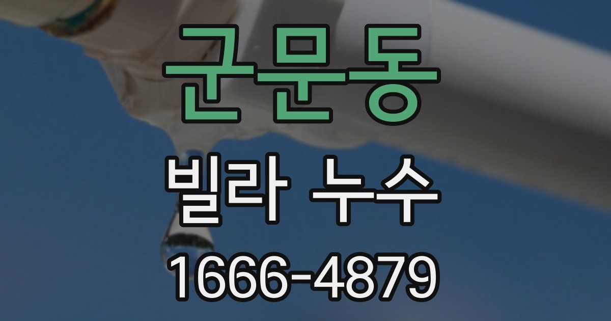 군문동 빌라 누수