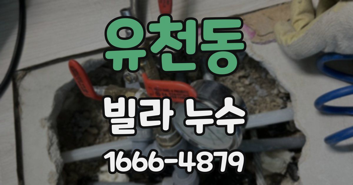 유천동 빌라 누수