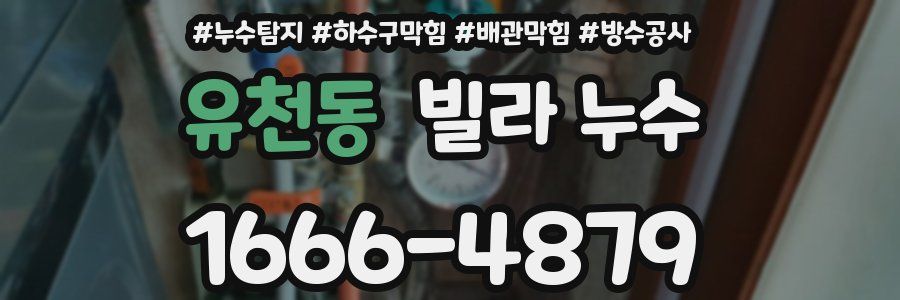 유천동 빌라 누수