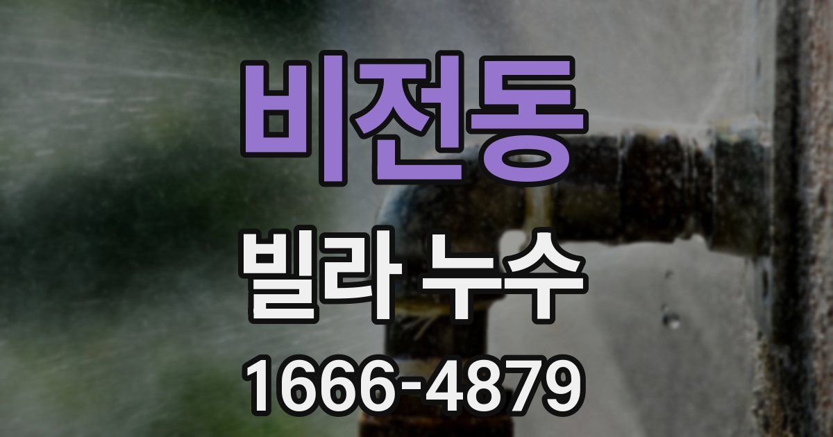 비전동 빌라 누수