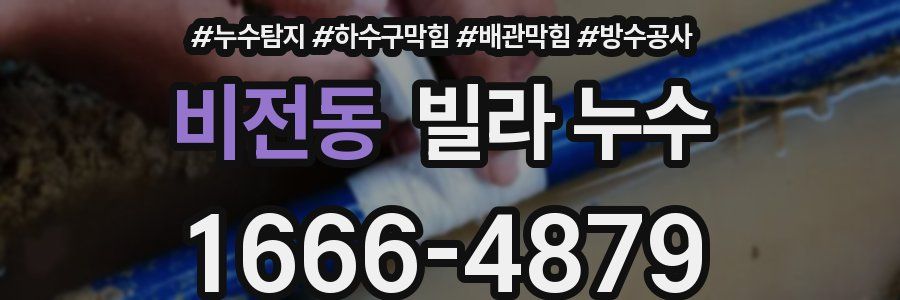 비전동 빌라 누수