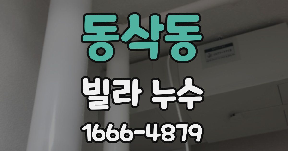 동삭동 빌라 누수
