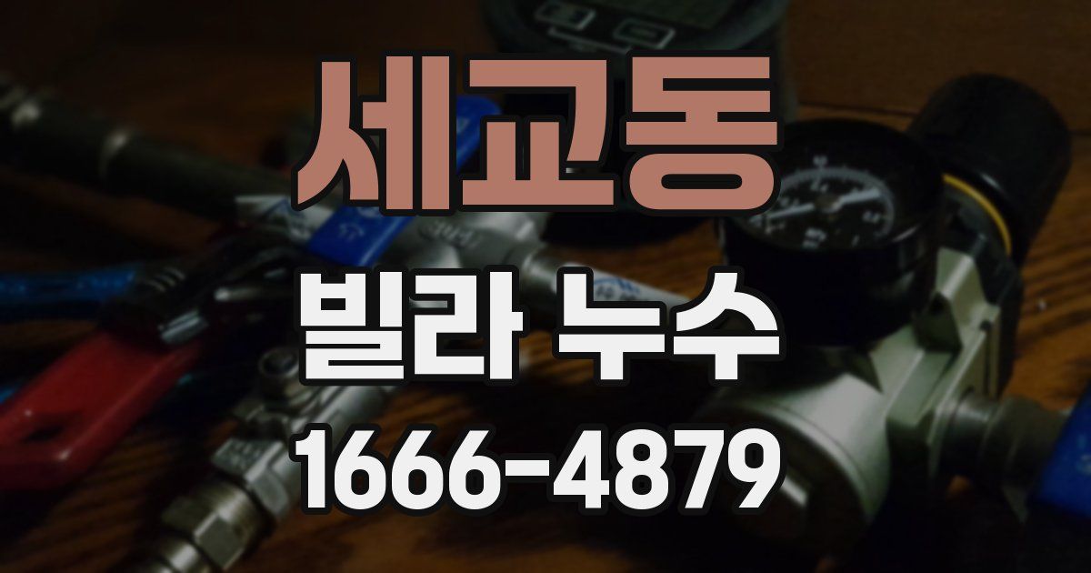 세교동 빌라 누수