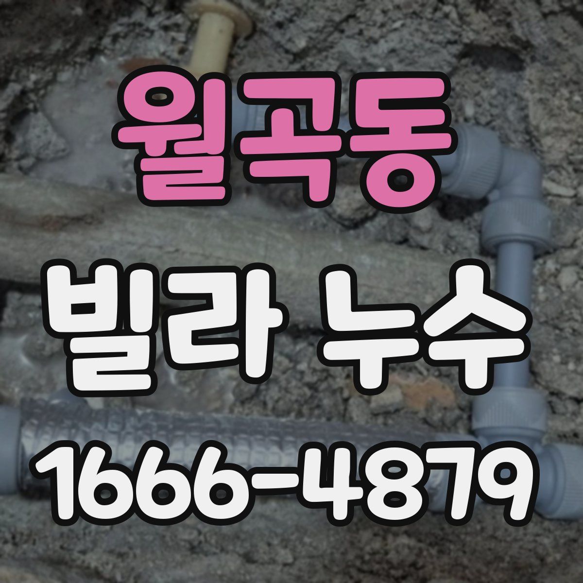 월곡동 빌라 누수