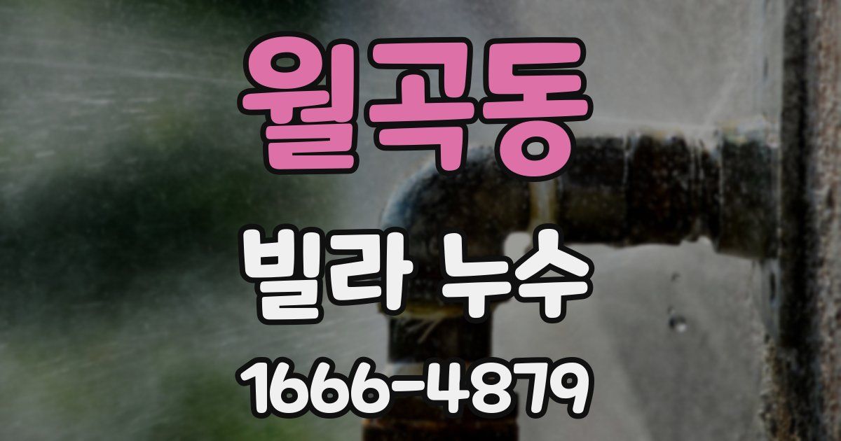 월곡동 빌라 누수
