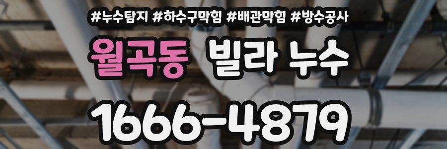 월곡동 빌라 누수