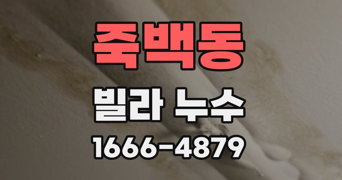 죽백동 빌라 누수