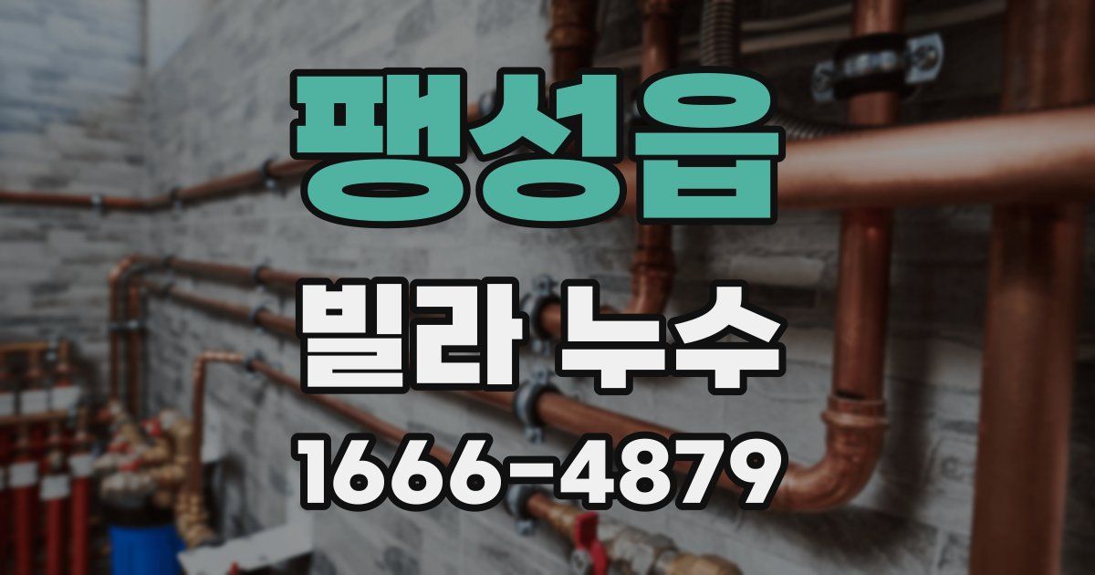 팽성읍 빌라 누수