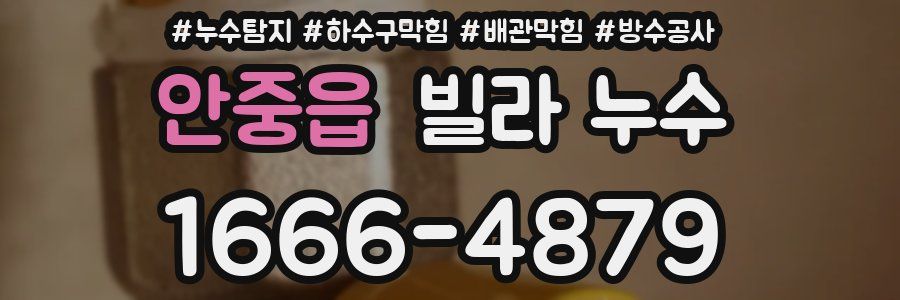 안중읍 빌라 누수