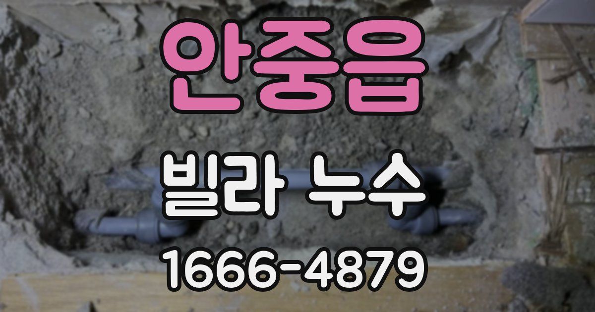 안중읍 빌라 누수