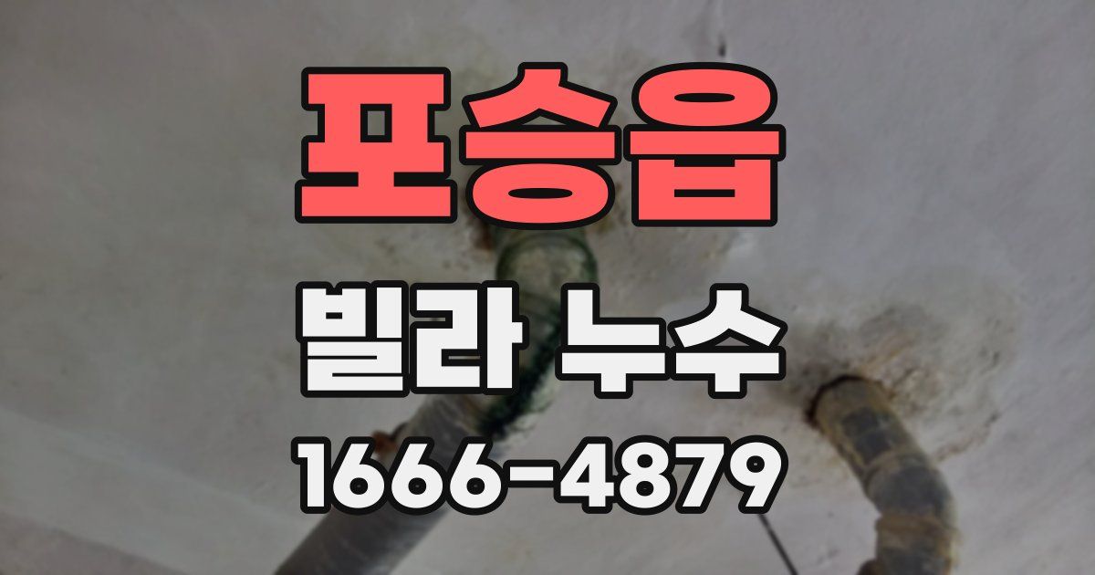 포승읍 빌라 누수