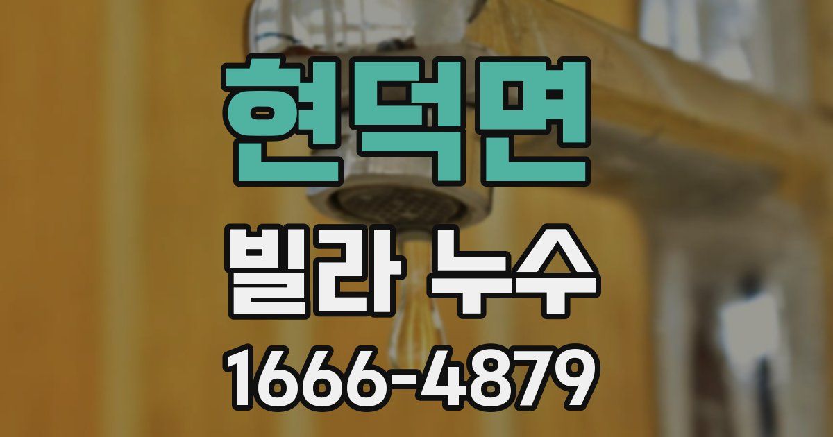 현덕면 빌라 누수