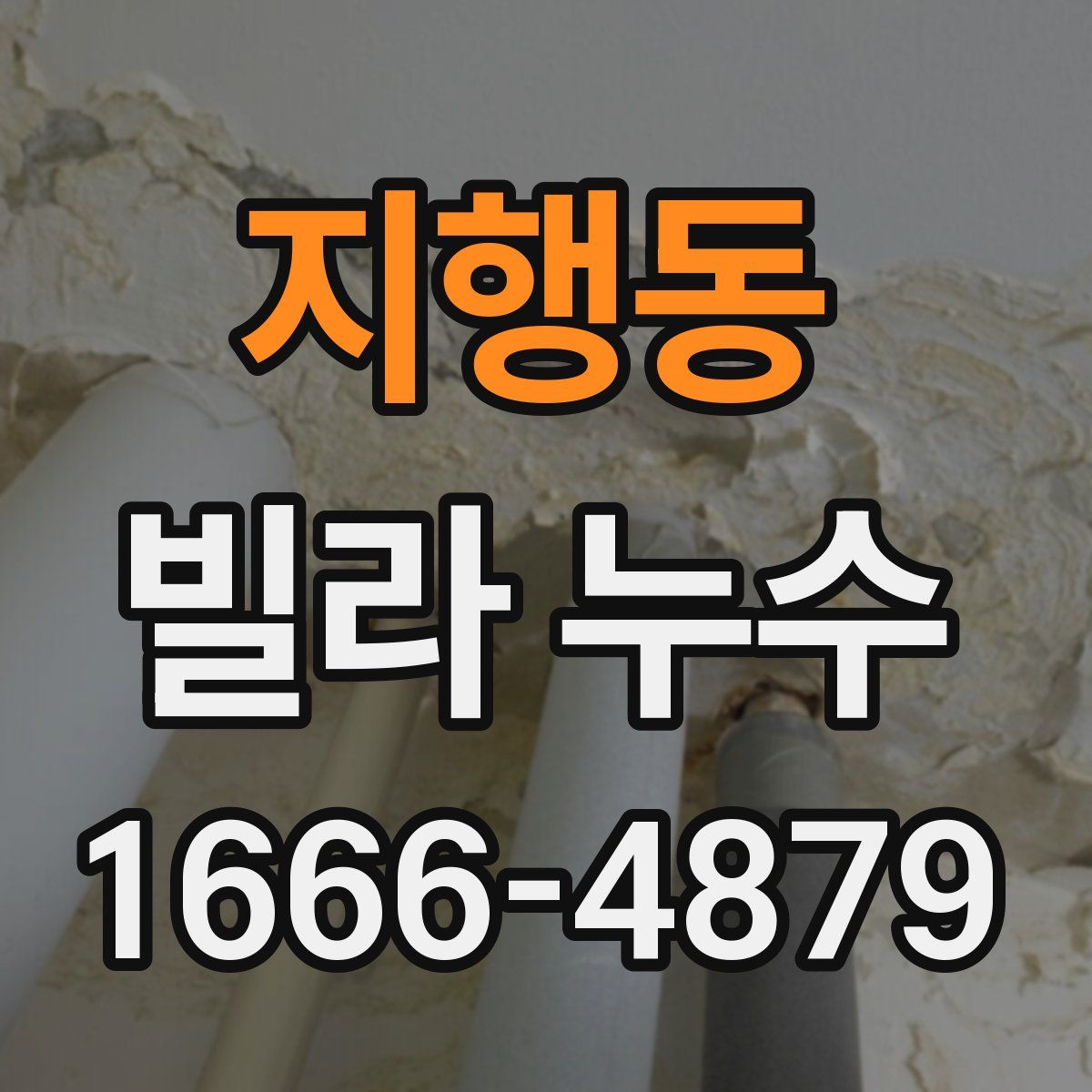 지행동 빌라 누수