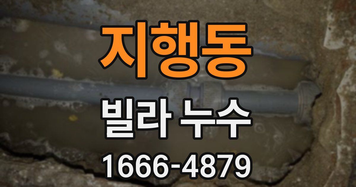 지행동 빌라 누수