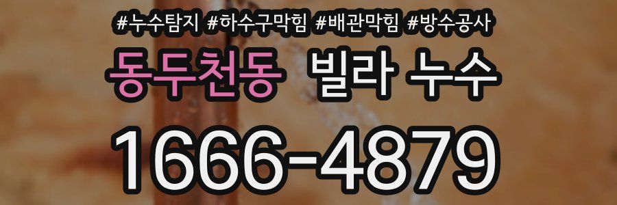 동두천동 빌라 누수