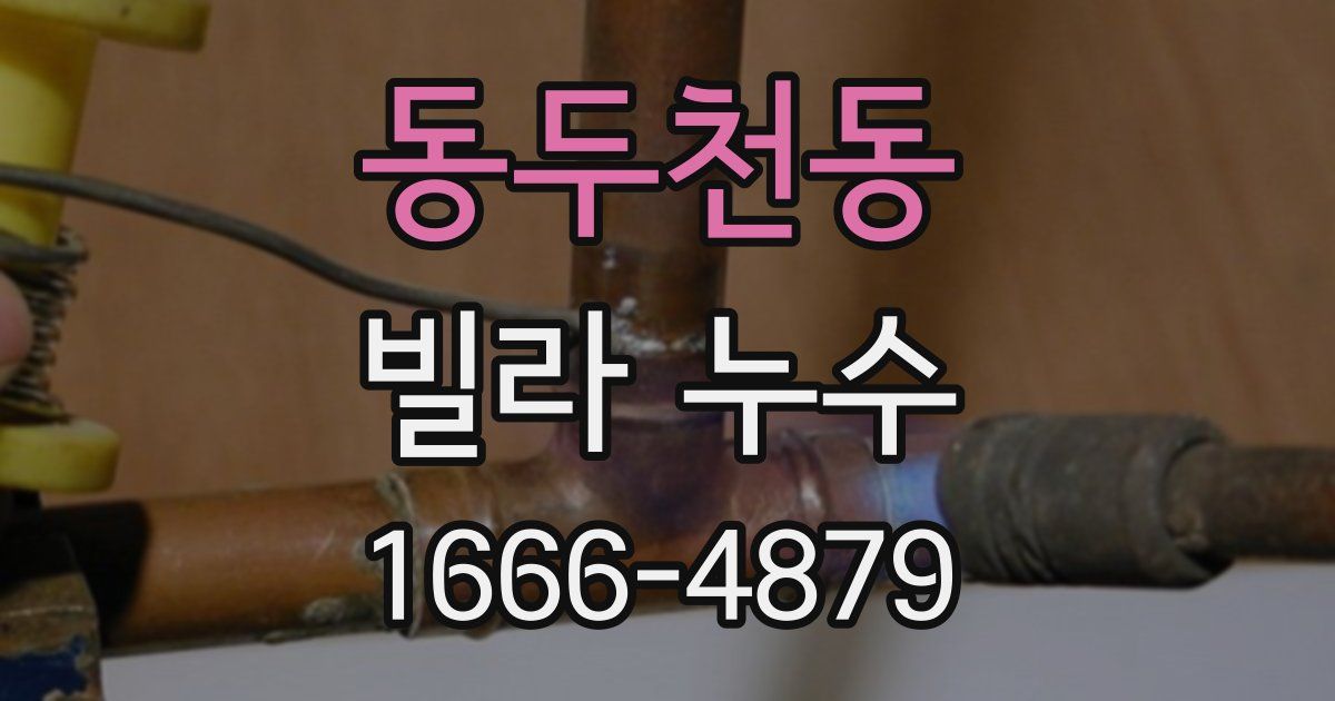 동두천동 빌라 누수